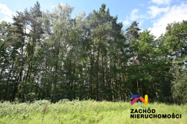 Działka budowlana w Podgórzycach